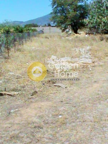 Αγροτεμάχιο στην Αδάμες (Οικισμός Γράμμος - Φοίνικας), Κηφισιά — Φωτογραφία 3 από 3