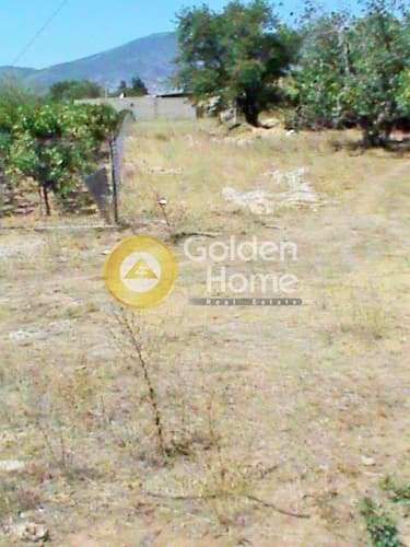 Αγροτεμάχιο στην Αδάμες (Οικισμός Γράμμος - Φοίνικας), Κηφισιά — Φωτογραφία 1 από 3