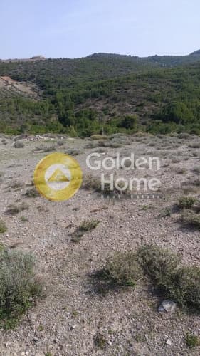 Building Plot in Dimolaki, Anavissos — Photo 5 of 10
