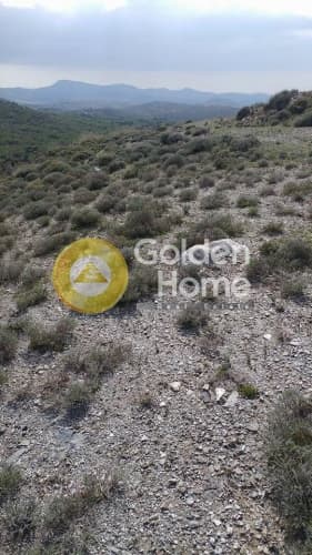 Building Plot in Dimolaki, Anavissos — Photo 6 of 10