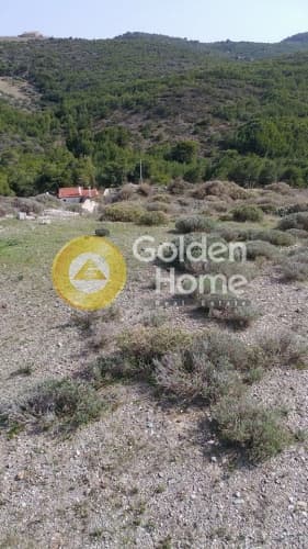 Building Plot in Dimolaki, Anavissos — Photo 8 of 10