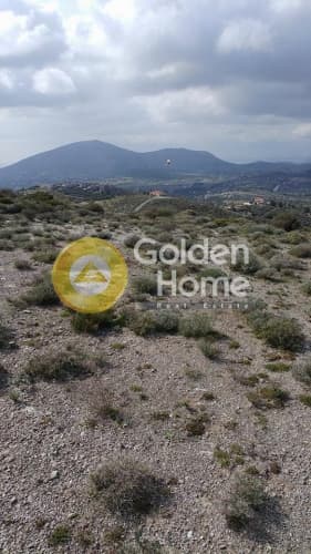 Building Plot in Dimolaki, Anavissos — Photo 9 of 10