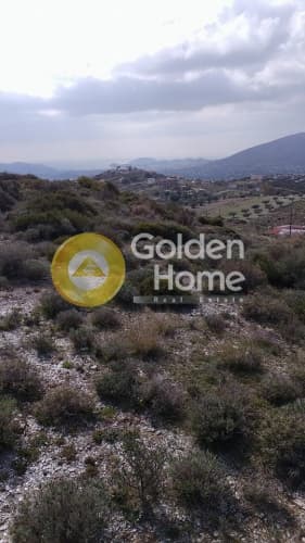 Building Plot in Dimolaki, Anavissos — Photo 10 of 10
