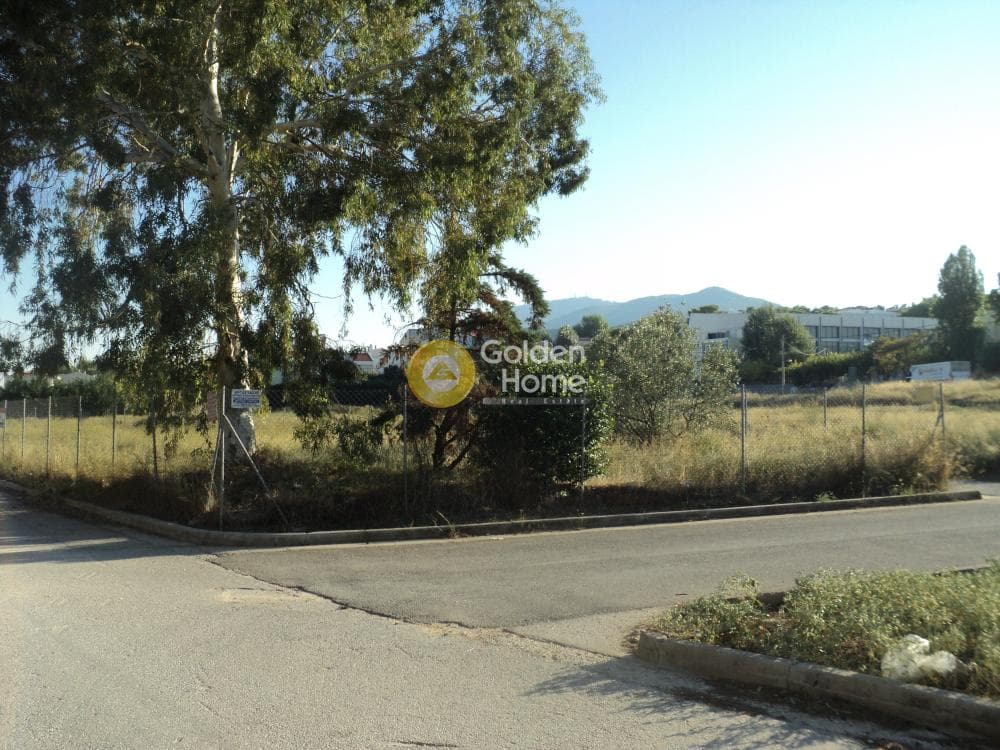 Building Plot in Gargittos, Gerakas — Photo 8 of 8