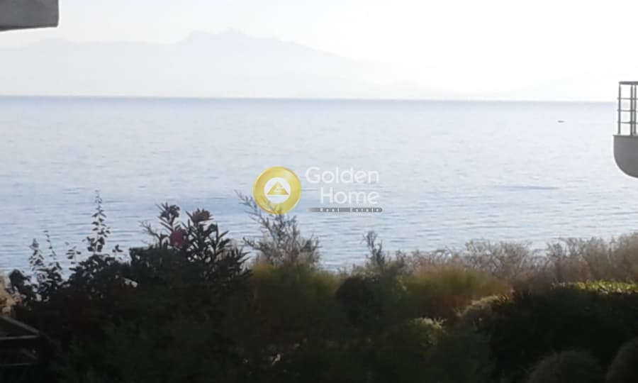 Μονοκατοικία στην Πρωτέας, Ραφήνα — Φωτογραφία 1 από 24