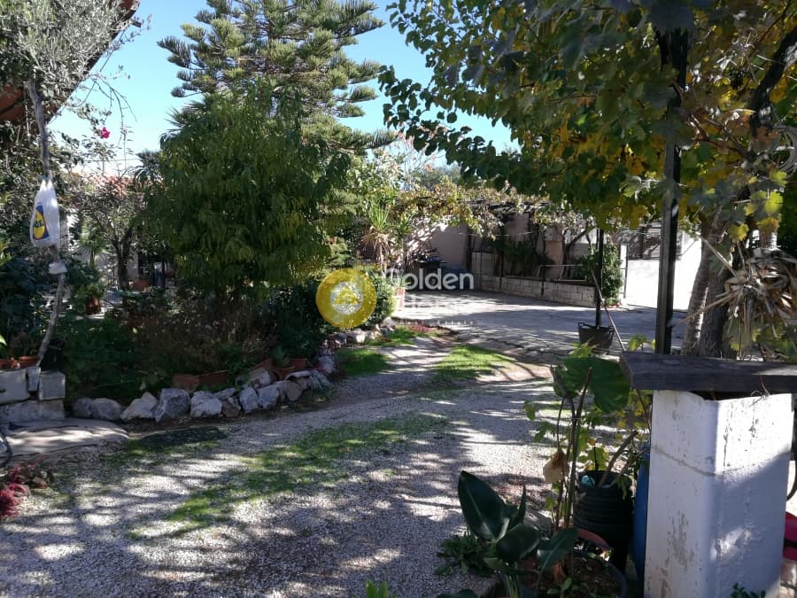 Οικόπεδο στην Λαμπρικά, Κορωπί — Φωτογραφία 7 από 9