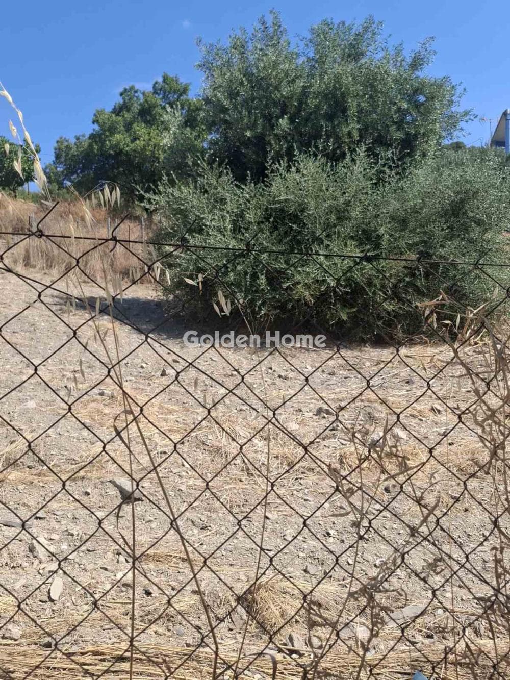 Building Plot in Dimitrani, Salamina — Photo 3 of 4
