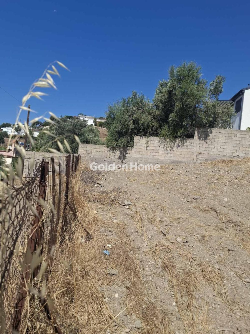 Building Plot in Dimitrani, Salamina — Photo 4 of 4