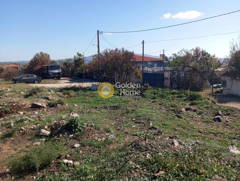 Building Plot in Megala Sxoinia A, Acharnes — Photo 9 of 9
