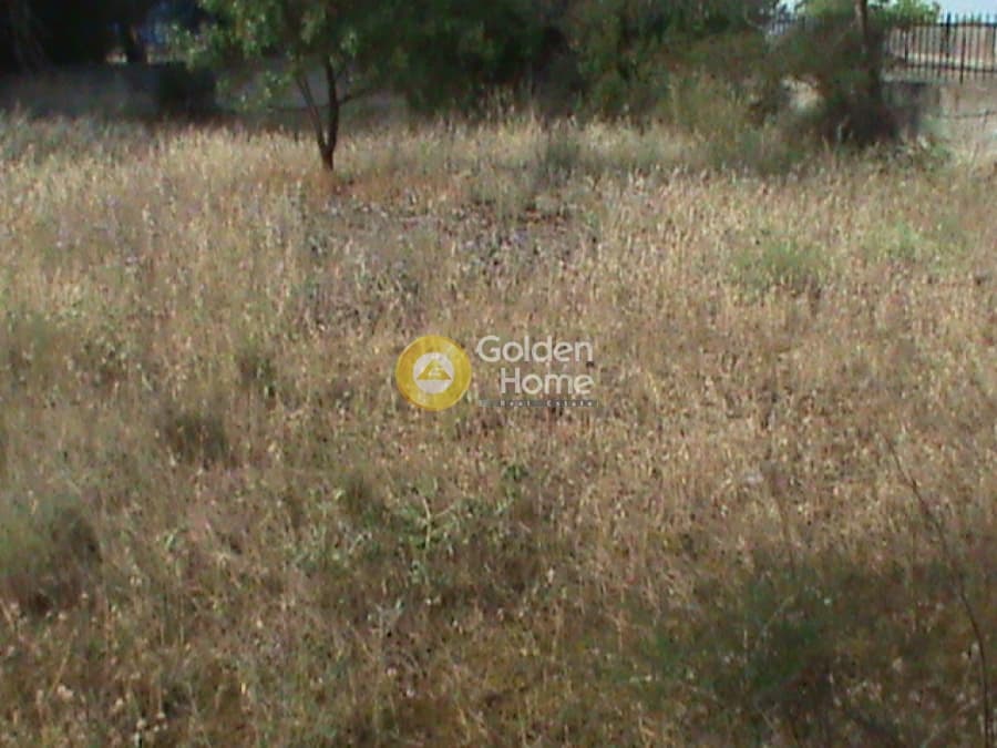 Αγροτεμάχιο στην Μεγάλα Σχοινία Α, Αχαρνές — Φωτογραφία 2 από 9