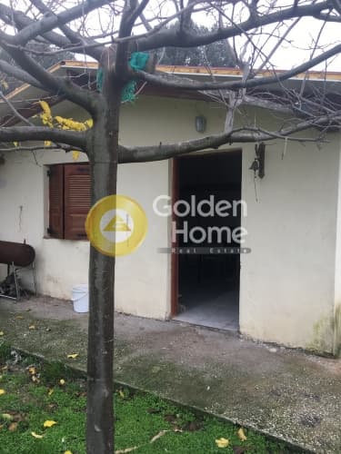 Building Plot in Ampelonas, Kalivia Thorikou — Photo 5 of 10