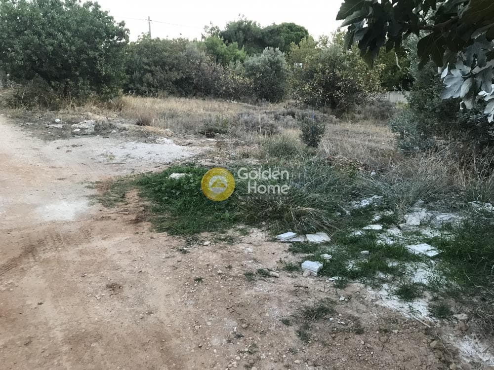 Building Plot in Kalivia, Kalivia Thorikou — Photo 4 of 15
