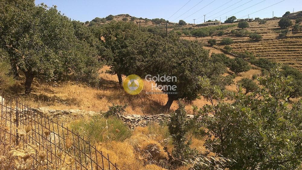 Αγροτεμάχιο στην Αγία Μαρίνα, Κέα — Φωτογραφία 2 από 5