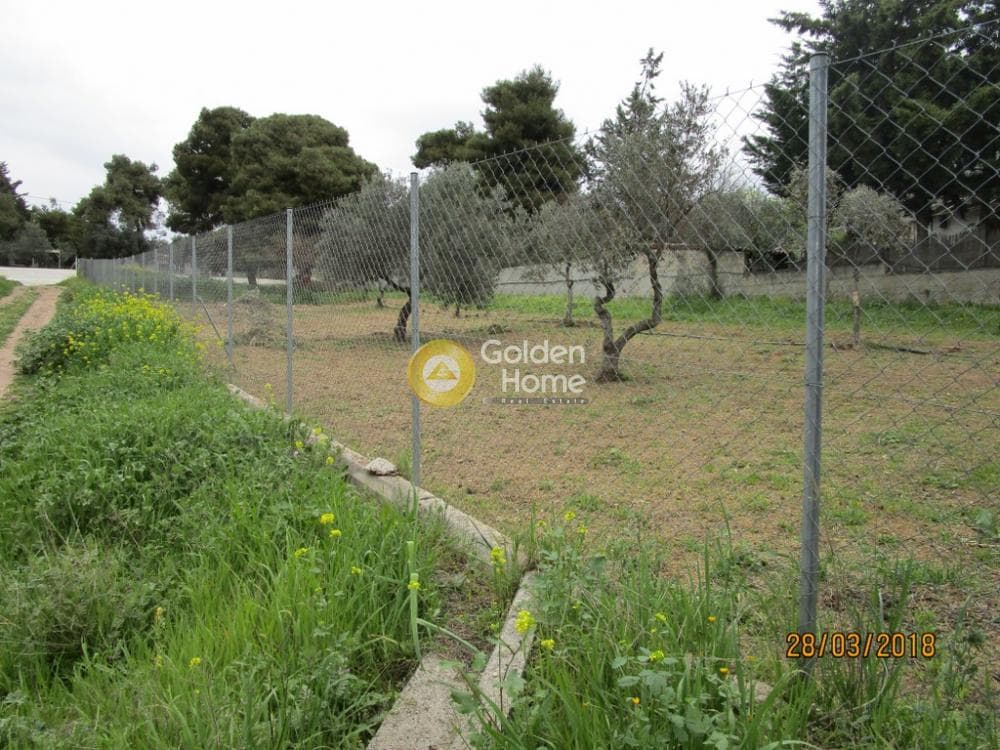 Building Plot in Kefalari, Kifisia — Photo 4 of 11