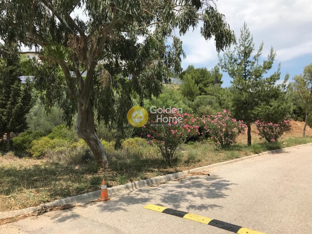Οικόπεδο στην Καλλιθέα, Πεντέλη — Φωτογραφία 1 από 3