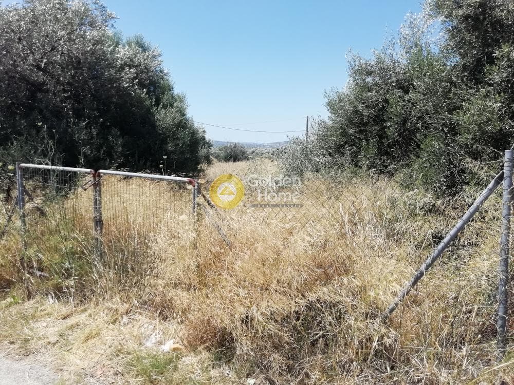 Building Plot in Neapoli, Spata — Photo 1 of 6