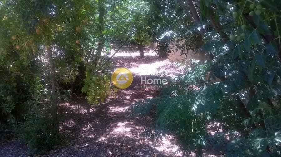 Building Plot in Center, Argyroupoli — Photo 3 of 6