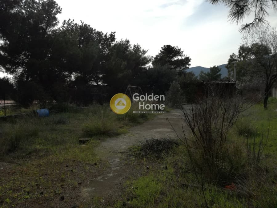 Οικόπεδο στην Μεγάλα Σχοινία Α, Αχαρνές — Φωτογραφία 6 από 7