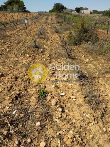 Parcel in Agia Triada, Markopoulo — Photo 2 of 3