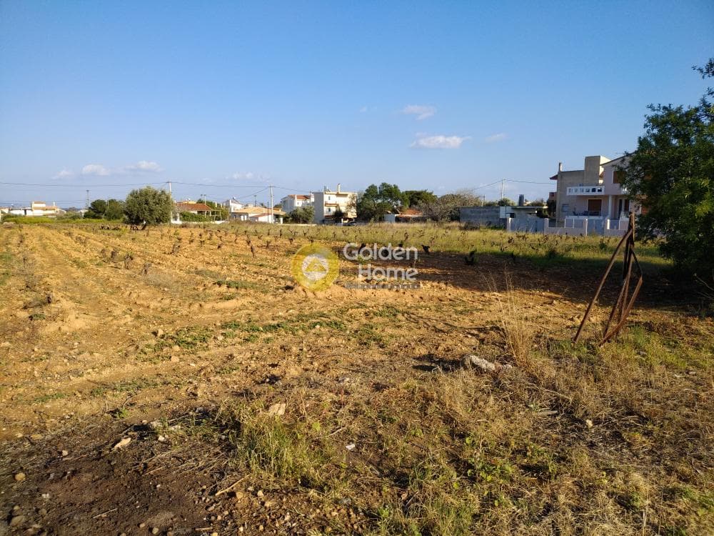 Building Plot in Center, Artemida (Loutsa) — Photo 3 of 10
