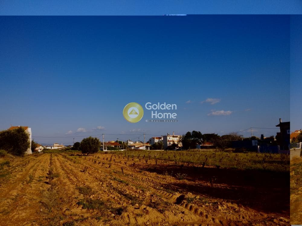 Building Plot in Center, Artemida (Loutsa) — Photo 4 of 10