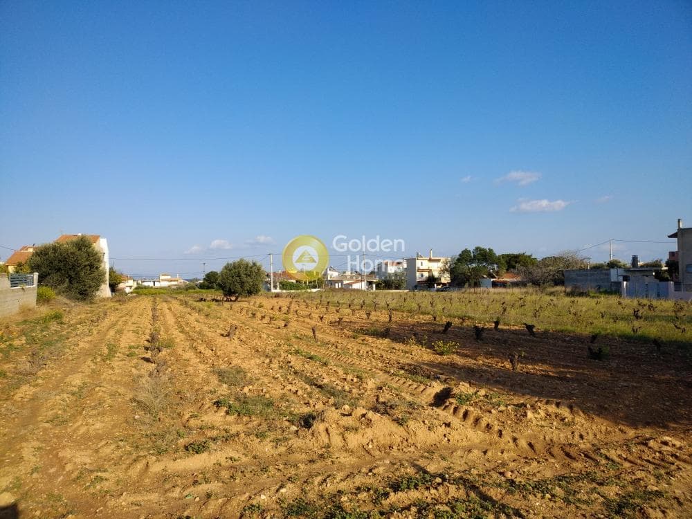 Building Plot in Center, Artemida (Loutsa) — Photo 5 of 10