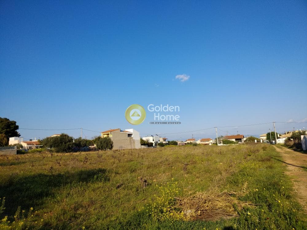 Building Plot in Center, Artemida (Loutsa) — Photo 6 of 10