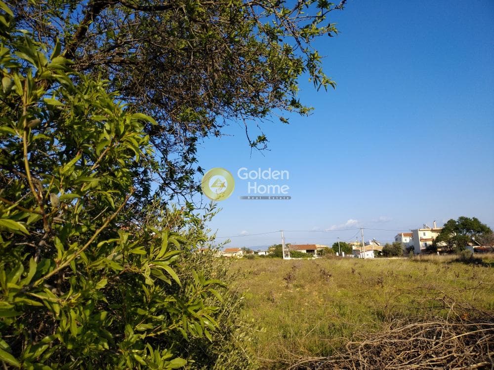 Building Plot in Center, Artemida (Loutsa) — Photo 10 of 10