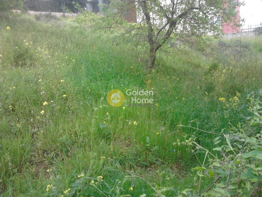 Οικόπεδο στην Πράσινος Λόφος, Ηράκλειο — Φωτογραφία 6 από 6