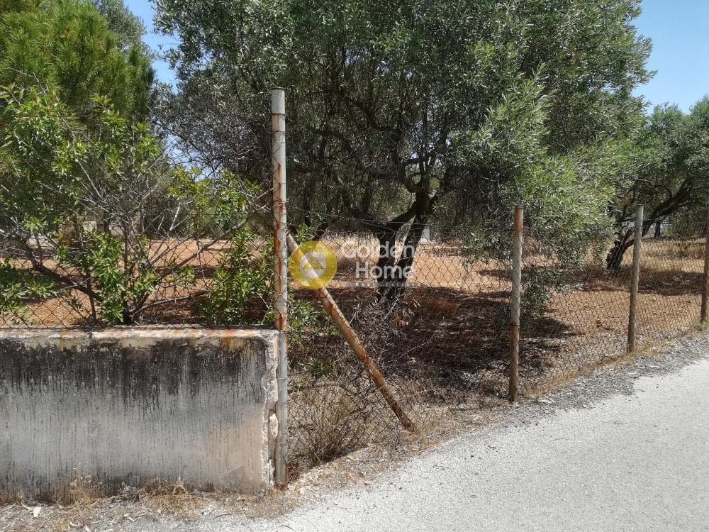 Building Plot in Lamprika, Koropi — Photo 6 of 7