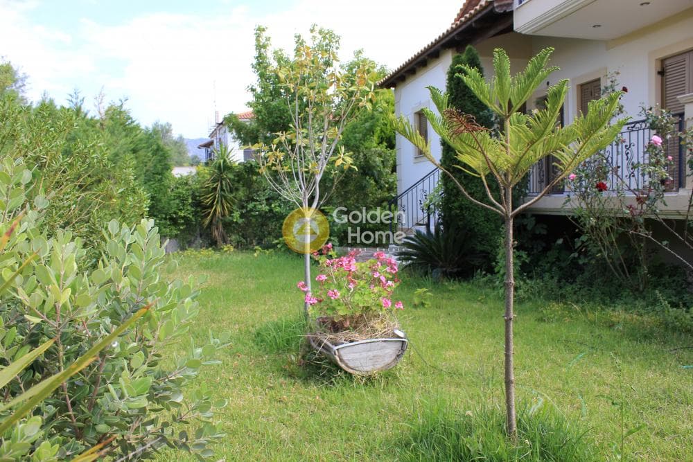 House in Center, Diakopto — Photo 15 of 29