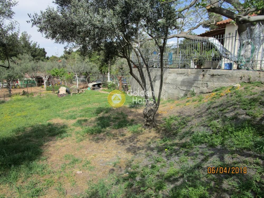 Building Plot in Zirineio, Kifisia — Photo 7 of 8