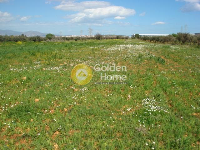 Parcel in Κέντρο, Kalivia Thorikou — Photo 1 of 4