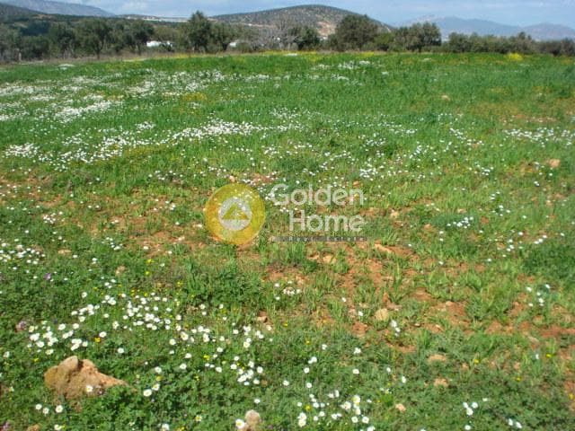 Parcel in Κέντρο, Kalivia Thorikou — Photo 2 of 4