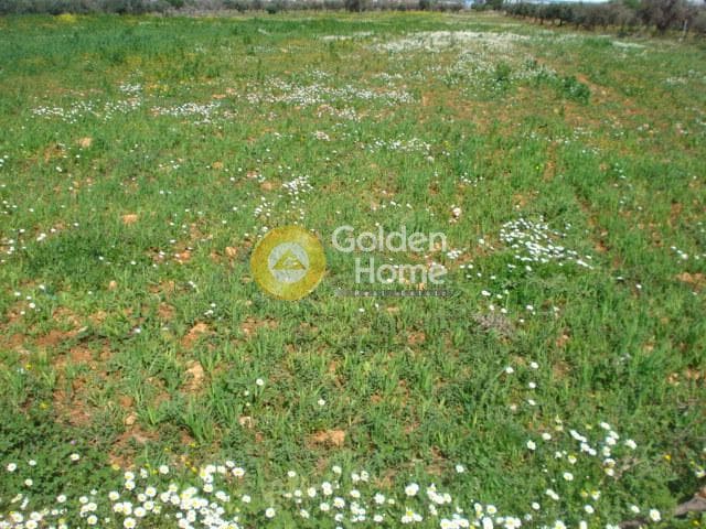 Parcel in Κέντρο, Kalivia Thorikou — Photo 3 of 4