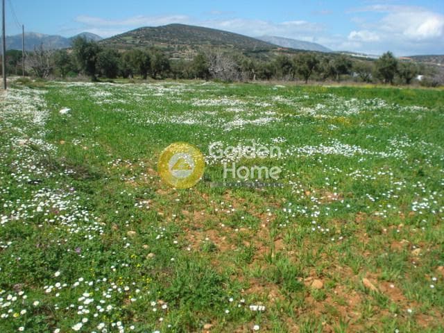 Parcel in Κέντρο, Kalivia Thorikou — Photo 4 of 4