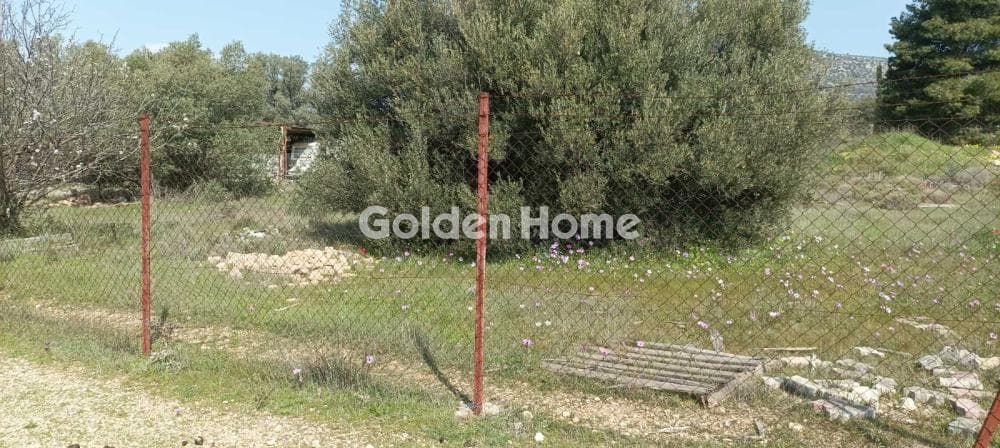 Parcel in Κέντρο, Kalivia Thorikou — Photo 10 of 12
