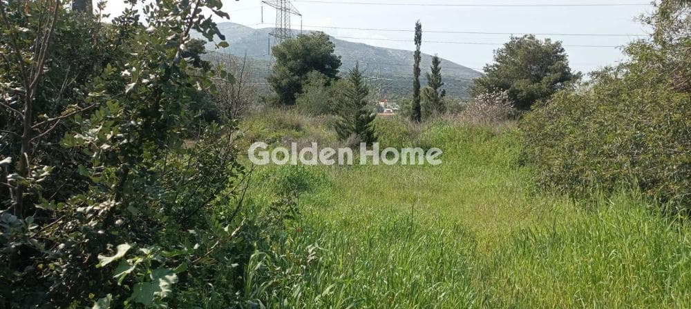 Parcel in Κέντρο, Kalivia Thorikou — Photo 11 of 12