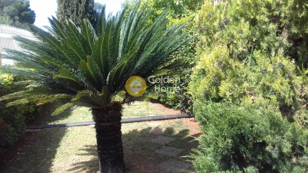 House in Saronida, Saronida — Photo 9 of 44