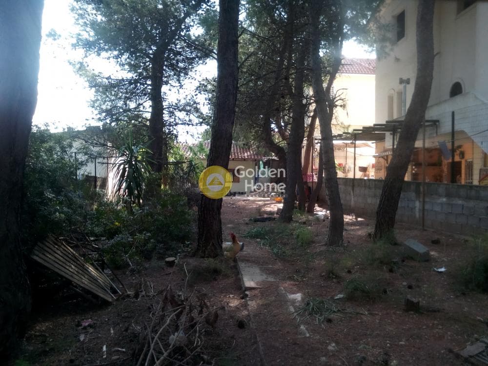 Building Plot in Anoixi, Anoixi — Photo 7 of 8