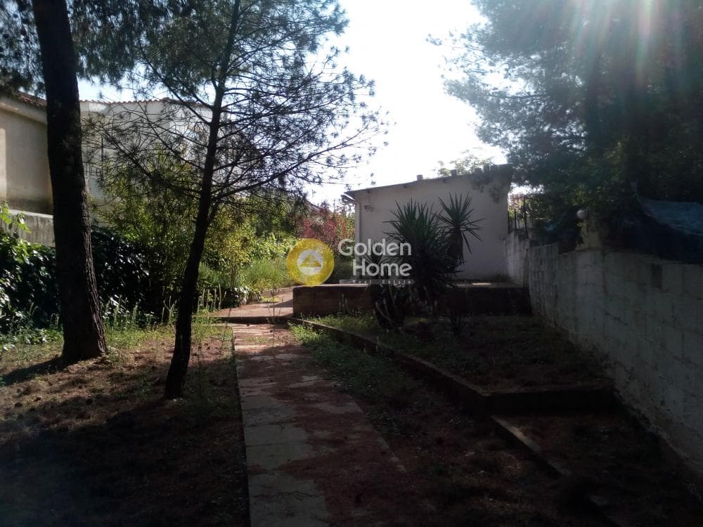 Building Plot in Anoixi, Anoixi — Photo 2 of 8