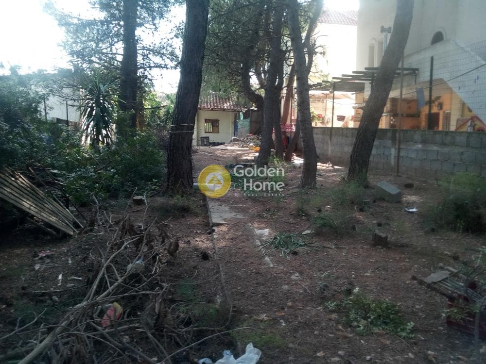 Building Plot in Anoixi, Anoixi — Photo 4 of 8