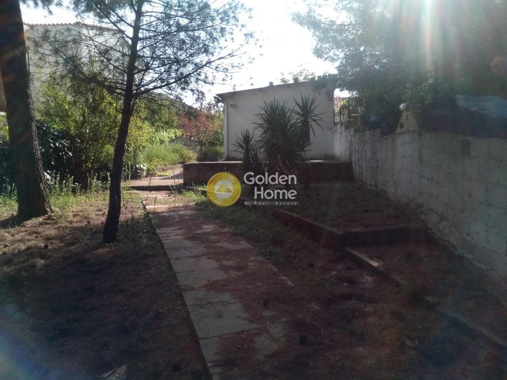 Building Plot in Anoixi, Anoixi — Photo 5 of 8