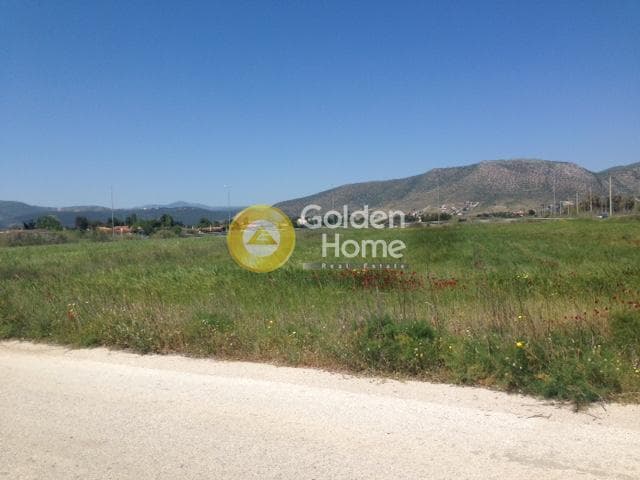 Αγροτεμάχιο στην Άγιος Παντελεήμονας, Νέα Μάκρη — Φωτογραφία 7 από 15