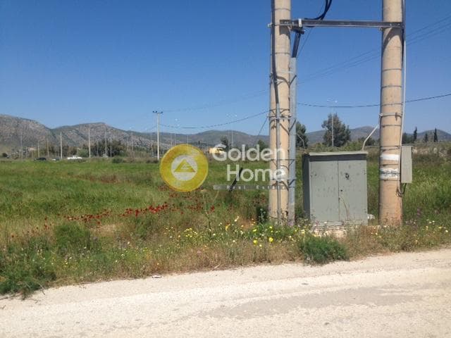 Αγροτεμάχιο στην Άγιος Παντελεήμονας, Νέα Μάκρη — Φωτογραφία 8 από 15