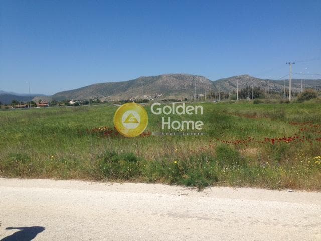 Αγροτεμάχιο στην Άγιος Παντελεήμονας, Νέα Μάκρη — Φωτογραφία 10 από 15