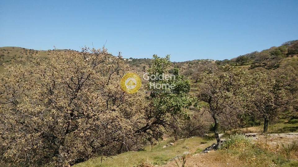 Αγροτεμάχιο στην Οτζιάς, Κέα — Φωτογραφία 4 από 6
