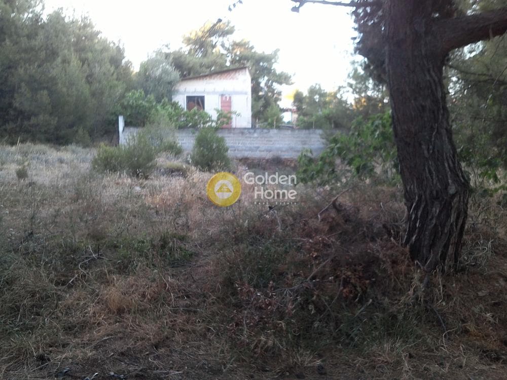 Αγροτεμάχιο στην Μεγάλα Σχοινία Α, Αχαρνές — Φωτογραφία 5 από 5