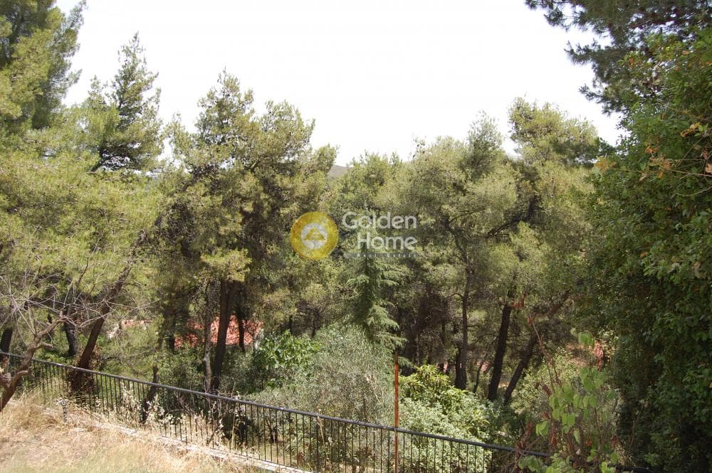 House in Center, Stamata — Photo 14 of 25