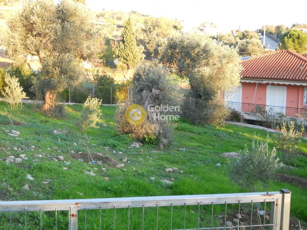 House in Grammatiko - center, Grammatiko — Photo 4 of 8